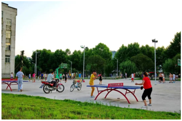 1646790962177216.png 1.png